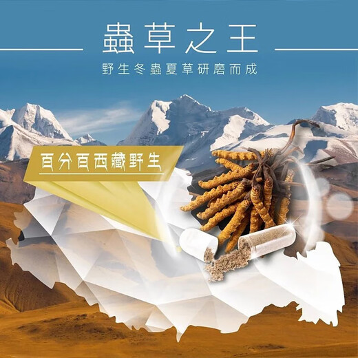 位元堂珍品冬虫夏草胶囊破壁菌丝体虫草 补虚损益肾增强免 24粒/盒