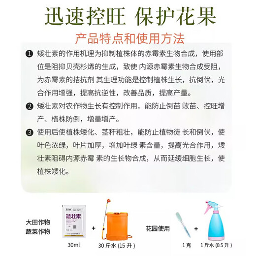 Dwarf dwarf narcissus flower dwarf dwarfing agent dwarf dwarf dwarf dwarf dwarf dwarf dwarf dwarf dwarf dwarf dwarf dwarf dwarf dwarf dwarf dwarf dwarf dwarf dwarf dwarf dwarf dwarf dwarf dwarf dwarf dwarf dwarf dwarf dwarf dwarf dwarf dwarf dwarf dwarf dwarf dwarf dwarf agent 30ml