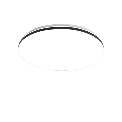 Micro LED ceiling lamp dining room living room lamp simple modern atmosphere ultra-thin round Nordic balcony bedroom aisle lamp 30cm18w white light