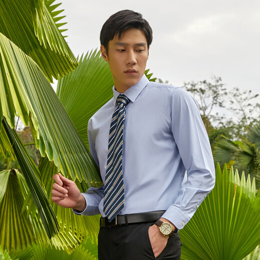 雅戈尔（YOUNGOR）Youngor/免烫衬衫男男士长袖衬衫条纹衬衫男轻商务易打理 白底蓝条 42 （180/100A）