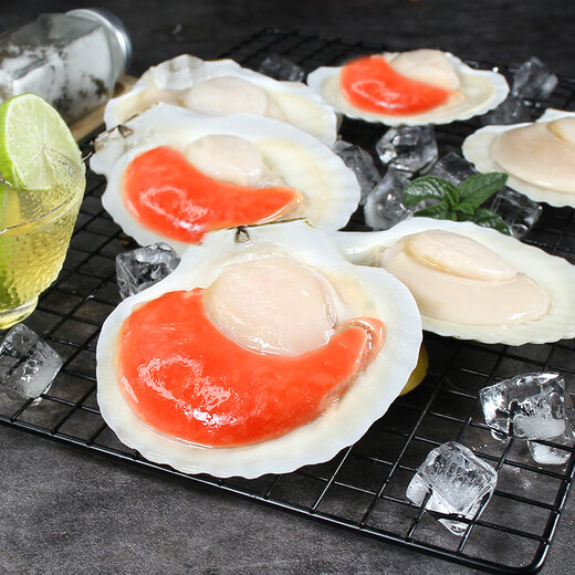 Fuhai Nishiki Sauce Half Shell Ezo Scallops 540g 6 pieces without sand hot pot barbecue ingredients seafood fresh shellfish gift