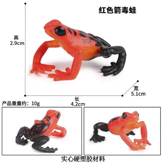 Oenux Simulation cognitive grenouille jouet solide enfant de poupée pour enfants Small Ornaments Bullfrog Frog Frog Bullfrog Frog Toad 1429 Africain Reed Frog