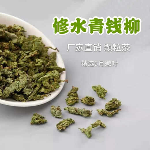 
Hua Tuo Shiyi Jiangxi Xiushui Qingqian Liu Tea Special Wilderness Green Qian Liu Qing Jinqian Liu Tea Granules Wild Authentic 125g PVC Box