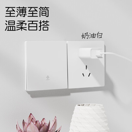 FDD国际电工86型超薄哑光白色开关插座面板家用16A暗装一开单控5五孔奶油风 五孔插座