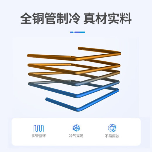 银都餐饮设备展示柜冷藏保鲜柜 蔬菜麻辣烫冰柜 透明玻璃酒水串串冷藏柜 饮料陈列柜 冰箱展示柜 风冷大二门展示柜 二级能效 展示柜