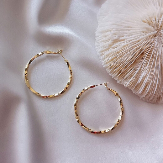 Idel Hong Kong Style Earrings Fashion Earrings Korean Temperament Internet Celebrity Circle Personality Simple Cold Style Women 2025 Fashion Earrings Golden Korean Style E0016