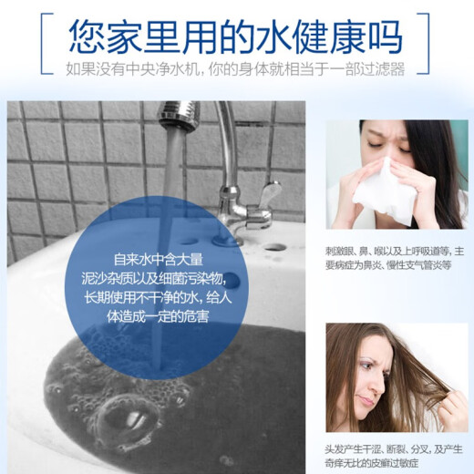 爱惠浦（Everpure） PCFE40F120型中央净水机大型净水器家用商用大流量全屋过滤 中央净水1.5吨/小时12040型号