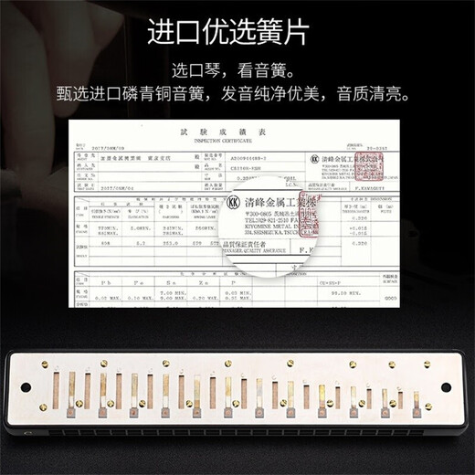 国光进口音簧国光口琴正品24孔复音#A/B/C/D/F/G调/降/成人专业演奏级 #C调（降D调）