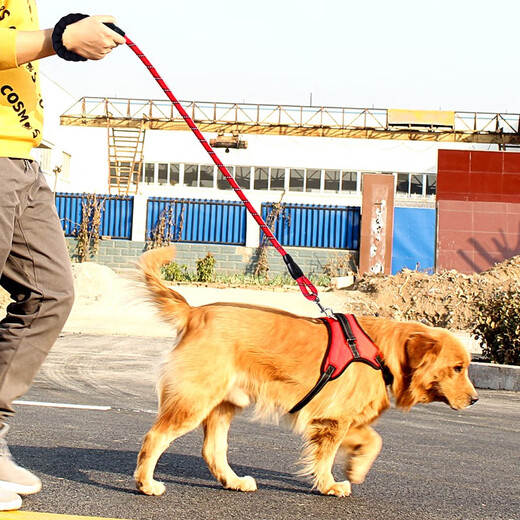 Hanhan Pet Dog Rope Dog Chain Collar Harness Medium and Large Dog Explosion-proof Dog Leash Golden Retriever Dog Chain Dog Walking Rope Red and Black Three-piece Set L Size Suitable for 38-68 Jin Jin is equal to 0.5 kg