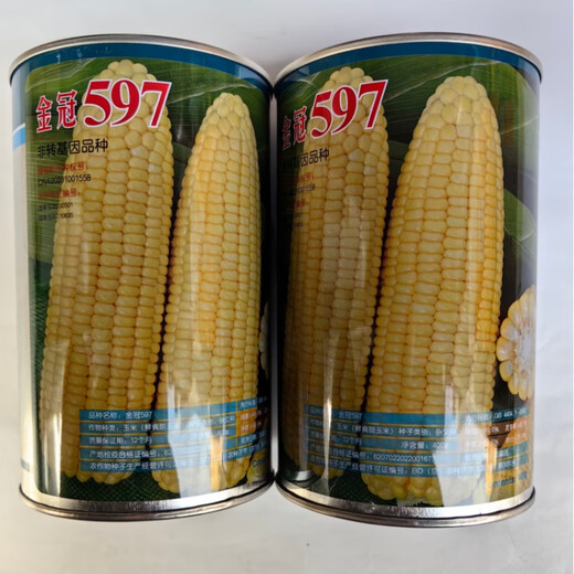 Wangyuanxing Golden Crown 597 corn seed big stick fruit corn super sweet sunflower sweet corn seed 400g can Golden Crown 597 5 cans