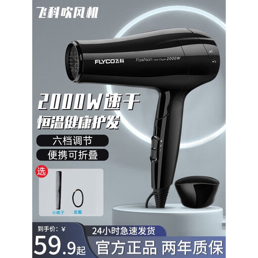 Feike Haartrockner Haushalt großer und kleiner Kraft 2000W Heiße und kalte Luftprofi-Friseur-Friseur-Friseur-Geschäft Konstante Temperatur Haartrockner FH6231 (3 Gear) 2000W Schwarz