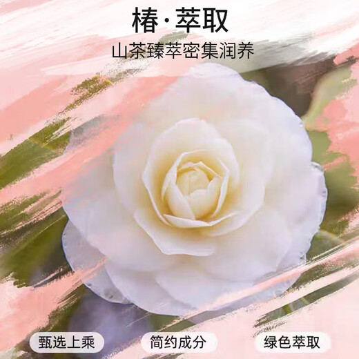 丝蕴（syoss）洗发水山茶油滋养修护洗发露680ml修护受损抚平毛躁无硅油洗头膏