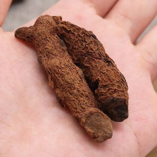 Jianyi Nian Yunnan Blood Panax Notoginseng Blutergüsse und Verletzungen, die in Wein medizinischer Wein medizinische medizinische Materialien eingeweicht werden können, können zu Pulver und Blut erschöpft werden. Das ganze Stück Blut Panax NotoginSeng 500g