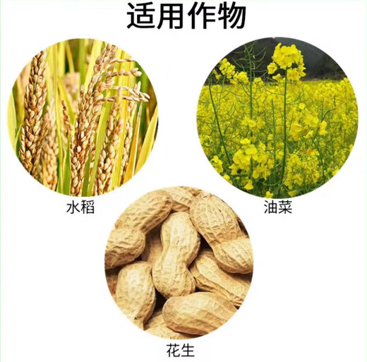 Guoguang paclobutrazol multi-effect dwarfing agent chlormequat for flowers and fruit trees succulent control and leggy growth regulator Guoguang 15% paclobutrazol 1000g*10 pack/box