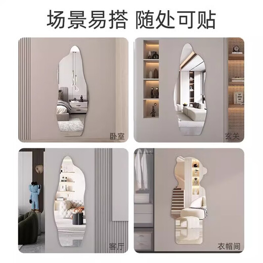 嘀哒生活 DIDA LIFE全身镜异形亚克力软镜子贴墙自粘免打孔穿衣镜高清家用海豚试衣镜 海豚35*120CM【清晰不变形】