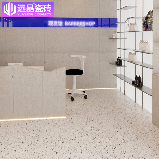 远晶瓷砖600x1200法式风彩色水磨石商业客厅地砖厨房卫生间墙砖广东 S12623P青苔 600x1200mm