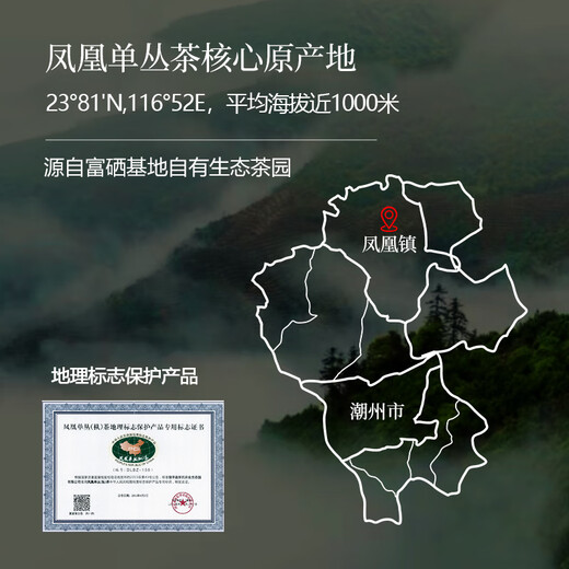 顶青湖 特级凤凰单枞茶蜜兰香潮州乌岽单丛高山老枞乌龙茶礼盒装500g