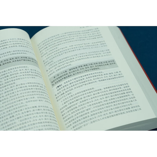 Interpretation of the Criminal Law of the People's Republic of China