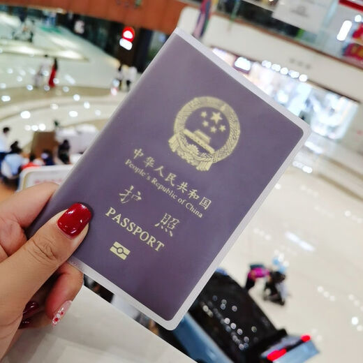 护照保护套两本护照套透明加厚防水通用旅行通行证壳证件套 护照磨砂款 （两本）