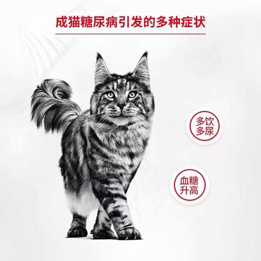 Adult Cat Niere Vollpreis verschreibungspflichtiger Korn Royal RF23 Nephritis Nierenversagen HF26 Leber DR25 Hypoallergen DS46 Diabetes DS46 Royal Cat Diabetes verschreibungspflichtiges Getreide 1,5 kg