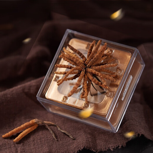 Shenxiang cordycepss Sinensis Высоко высокая подарочная коробка, пропитанная в подарочной коробке с водой и супом Cordyceps Подарочную коробку Подарочную коробку Подарочную коробку 6 грамм цветов* 1 коробка (около 36 штук)