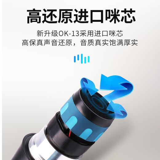 先科（SAST） 无线话筒一拖二家用唱歌卡拉OK会议室舞台ktv专业专用音响话筒全民k歌麦克风U段 OK-12双头戴 官方标配