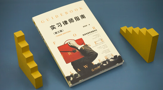 Trainee Lawyer's Guide (Third Edition)