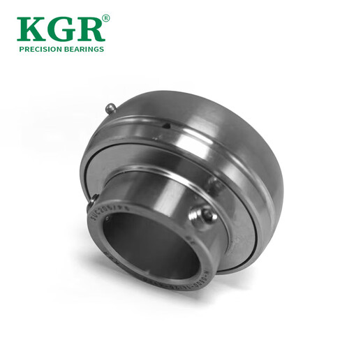 KGR Deutschland/304 Edelstahllager wasserdicht, rostfeste, korrosionsbeständige, s6200/6201/6202/6203/Magnetische Lagersammlung SS6210-Zz/P5 304