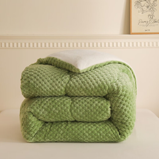 Arctic velvet quilt core thickened to keep warm lamb velvet winter quilt student dormitory single quilt plus double home cover quilt beautiful - bean green [double-sided velvet quilt] 150x200cm6Jin [Jin equals 0.5 kg] (winter quilt)