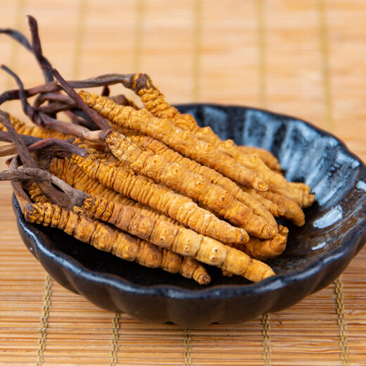 Guchengtang Authentique Cordyceps Dry Goods Dessons First Souchet Tibétain Tibétain Cordyceps Cordyceps séché 2 Racines / G 3 Racines / G 1 Ensemble de publication [3 Racines / G]