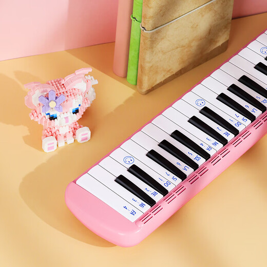 Jiaderui Jdr Oral Organ 37 wichtige Grundschule für Anfänger und Kinder für Erwachsene professionelle Performance Klassenzimmer Unterrichtsblaseninstrumente rosa