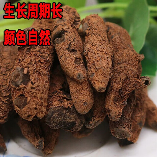 Jianyi Nian Yunnan Blood Panax Notoginseng Blutergüsse und Verletzungen, die in Wein medizinischer Wein medizinische medizinische Materialien eingeweicht werden können, können zu Pulver und Blut erschöpft werden. Das ganze Stück Blut Panax NotoginSeng 500g