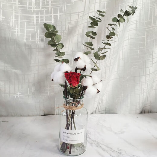 AIMAN dried flowers eucalyptus leaves Nordic style ins Nordic style small fresh living room ornaments diy home decoration ornaments SN strawberry fruit red 20 pieces without bottle