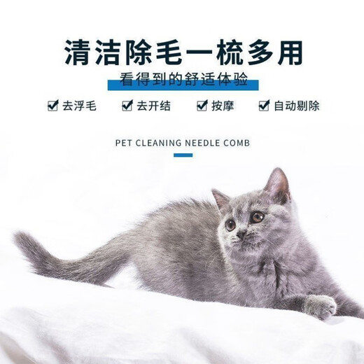 Pet hair dryer, all-in-one quick-drying Bichon Teddy fluffy comb, cat and dog bathing and blow-drying tool, flagship powder, dual-core motor + protective coating + temperature control, twenty-year warranty (millions, pursuit of quality)