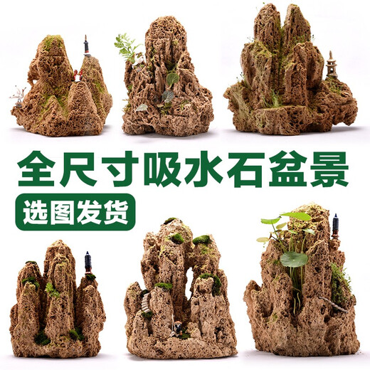 Shiguang Station absorbent stone natural stone bonsai fish tank courtyard large fish pond landscaping absorbent stone original stone water stone bonsai 10-14cm absorbent stone does not include basin