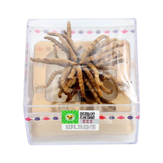 Shenxiang Cordyceps flowering flowers, high-altitude Cordyceps gift box, gift to elders, 5 grams of Cordyceps flowering flowers*1 box (about 28 pieces)