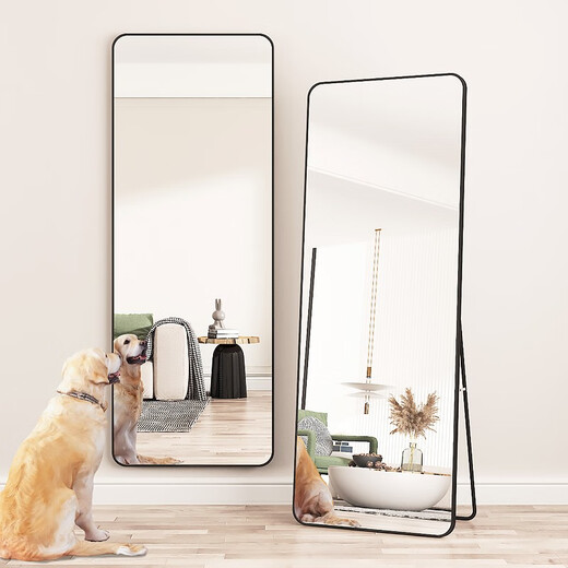 Yanxi French simple full-body dressing mirror home living room floor three-dimensional fitting mirror dormitory wall-mounted makeup mirror elegant white [HD explosion-proof] 150*40CM-wall and floor-mounted dual-purpose