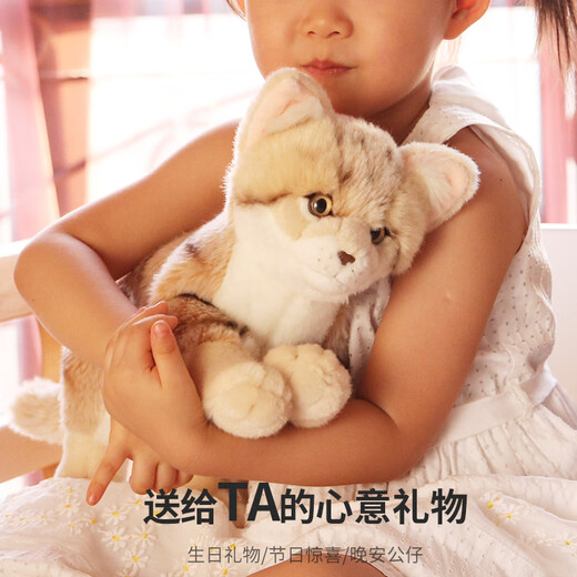 
National Geographic National Geographic Desert Cat Plush Toy Simulation Cat Kitten Doll Birthday Children's Chinese Valentine's Gift