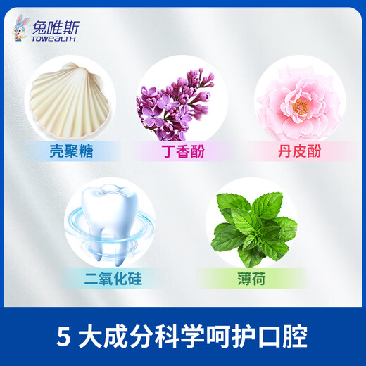 兔唯斯（TOWEALTH）口腔防护护理牙膏牙龈出血清新口气防护护龈护齿膏 防护 150g 1支 默认1