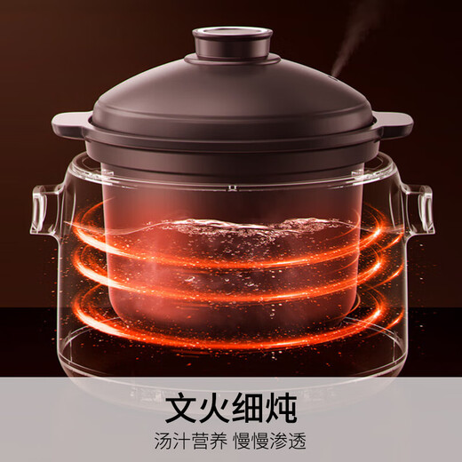 Joyoung electric stew pot, electric stew pot, electric casserole, soup pot, stew pot, purple casserole, bird's nest stew pot, multifunctional pot for porridge, baby food supplement pot, electric cooking pot 3 liters GD517