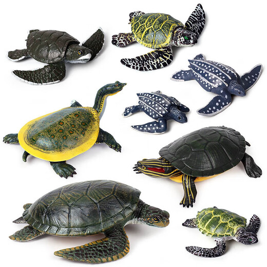 
Oenux marine animal model sea turtle toy solid turtle simulation small creature ornament figure children's elephant turtle leatherback turtle M-688 Brazilian turtle