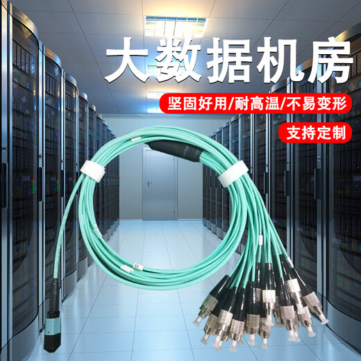 润丹福 MPO转FC SC ST多模万兆光纤跳线mtp-fc光纤跳线40G qsfp大数据中心光模块 12芯OM4 2m