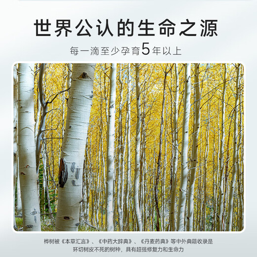 ZUCCARI Hu Bing's same style ZUCCARI double anti-birch drink 10ml*35 pieces/box for beauty preservation, whitening and body beauty