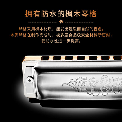 SEYDEL德国进口SEYDEL赛德 十孔10蓝调成人口琴 1847 CLASSIC 10孔G调