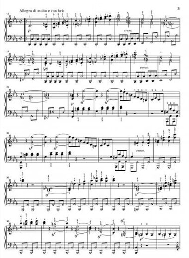 贝多芬 五首著名钢琴奏鸣曲op13, 26, 27no2, 28, 31no2 悲怆、葬礼、月光、田园、暴风雨 亨乐原版 Beethoven Ludwig van Five HN1392