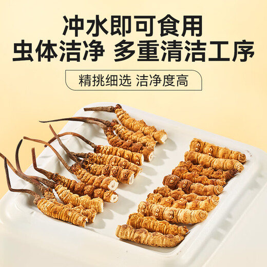 Sejila Cordyceps sinensis cordyceps selected Cordyceps 10g affordable package Nutritional supplements for the elderly