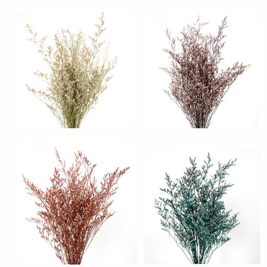 AIMAN ins air-dried flower bouquet home decoration small fresh living room flower arrangement internet celebrity decoration baby's breath eternal flower SN reddish brown lover's grass