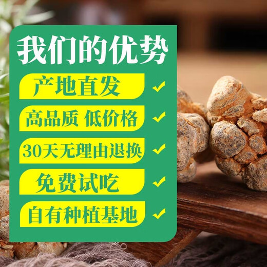 Panax notoginseng Yunnan Wenshan Spring Panax notoginseng Selected Chinese medicinal materials without cuts and nourishing gifts Sanqi Tianqi Selected 24 heads and 24 [500 grams] No cuts and 37 heads/hair whole