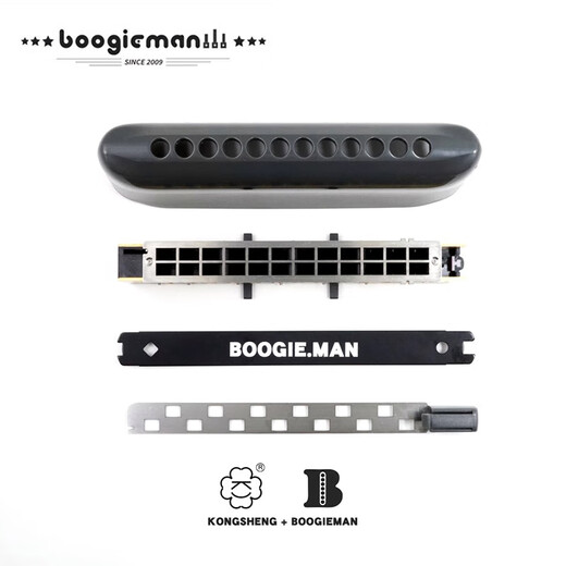 Boogieman12孔半音阶口琴KB12高级成人专业演奏级 园园使用款 12孔C调【白色】