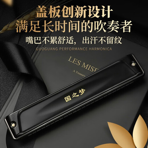 德国进口音簧国光口琴28孔重音专业演奏级复音C调初学者成人学生入门 【高端演奏款】28孔哑光黑色复音C调